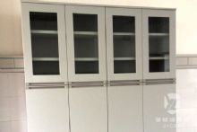 板式结构试剂柜、资料柜